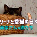 バレリーナと愛猫の日々　平井美奈さん×猫たち(2023.6)
