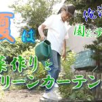 俺流園テクPart3～夏は野菜作りとグリーンカーテンだぁ！(2023.9)
