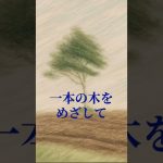 The Fairy of Kitahiroshima with Cats　北広島の妖精と猫たち(2025.11)