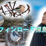 エルフィンロード探鳥散歩(2026.2)